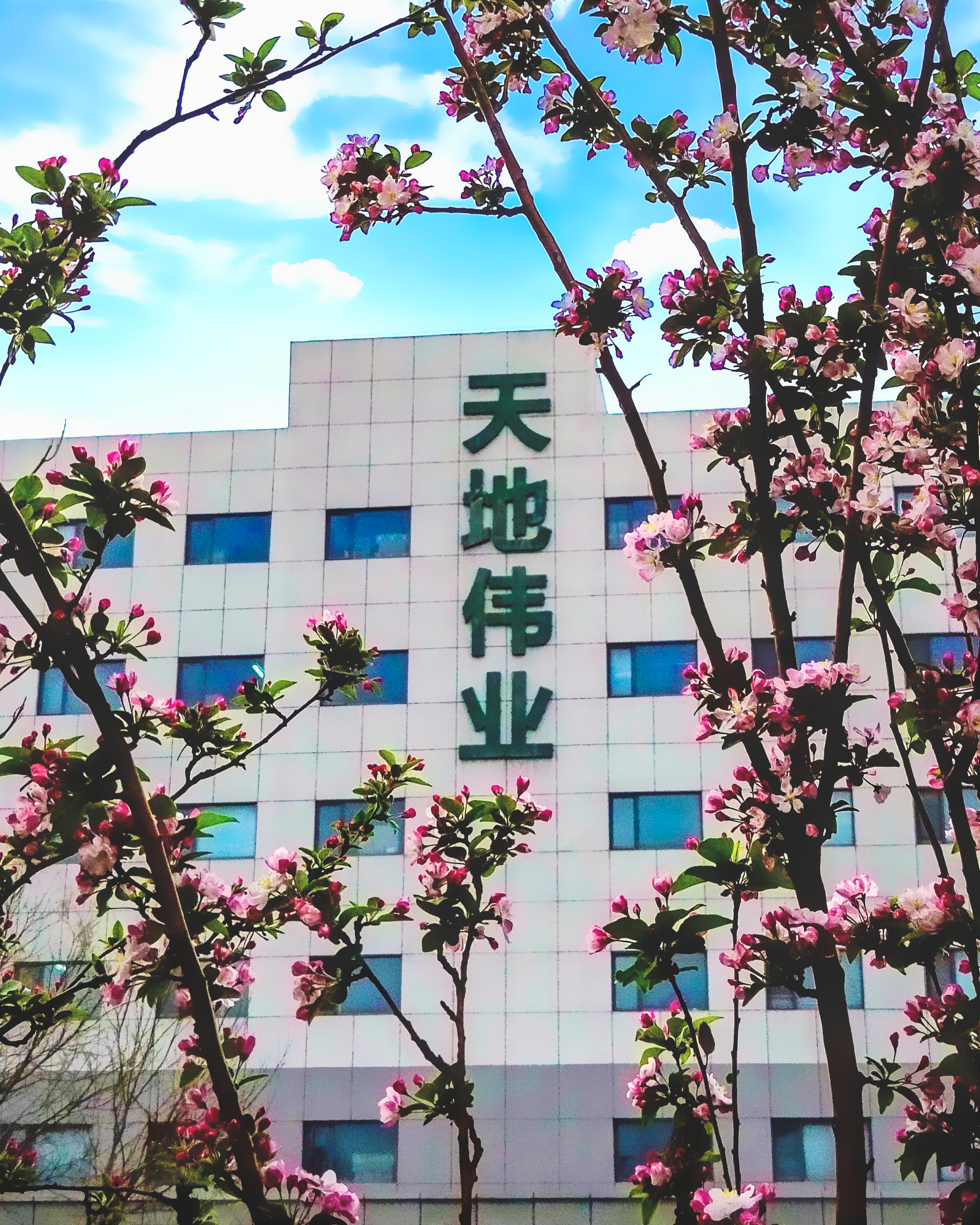 非凡国际(中国区)-官方网站