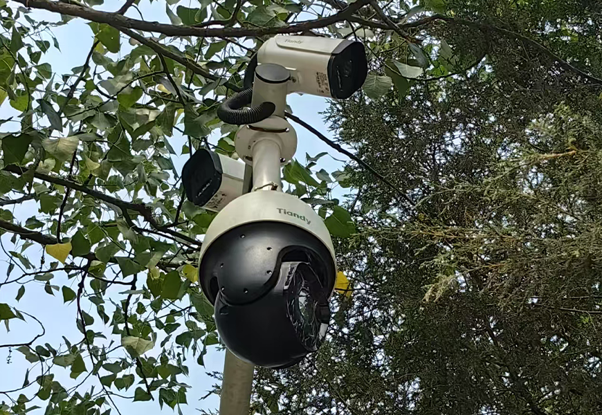 非凡国际(中国区)-官方网站