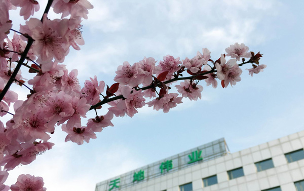 非凡国际(中国区)-官方网站