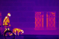 非凡国际(中国区)-官方网站